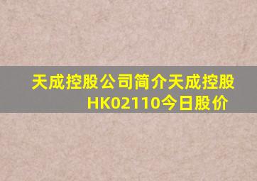 天成控股公司简介天成控股 HK02110今日股价